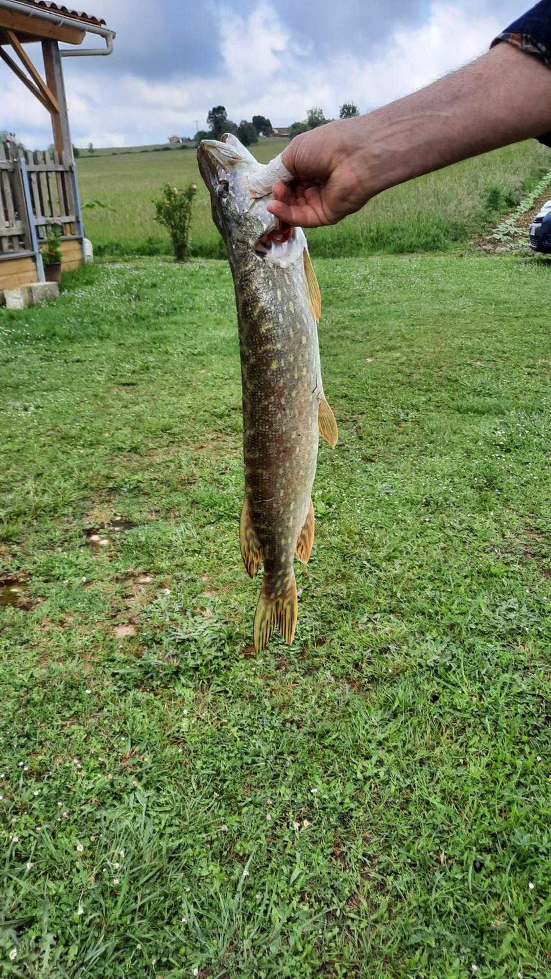 Hotel Etang Pre De La Font Cercles Zewnętrze zdjęcie